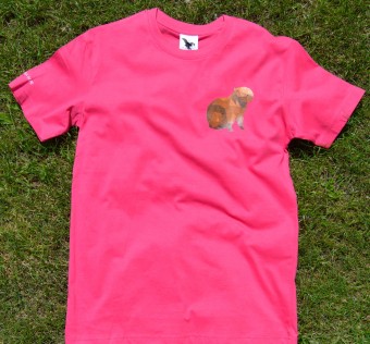 Dětské tričko Kapybara wear – Origami (raspberry)
