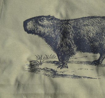 Dětské tričko Kapybara wear – Forest King (sv. khaky)